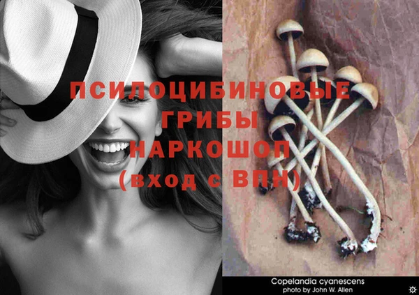 ECSTASY Армянск